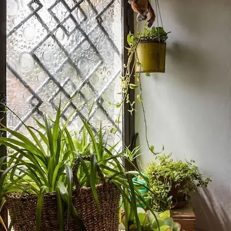 La Casa Nella Torre - بونتاسيفي